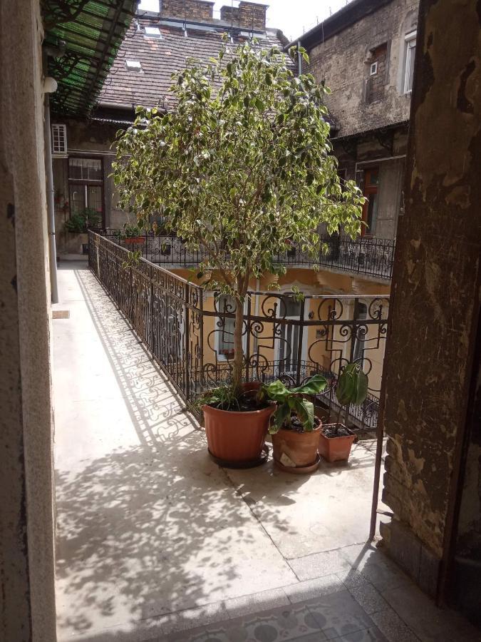 Jolie Apartment in Historical Center Budapest Exterior foto